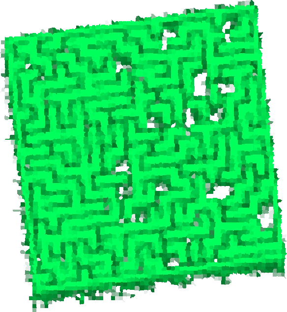 A maze ing!